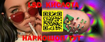 гидра Будённовск