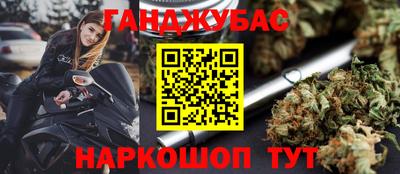 гидра Будённовск
