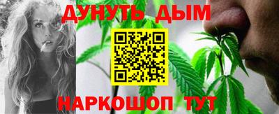 гидра Будённовск