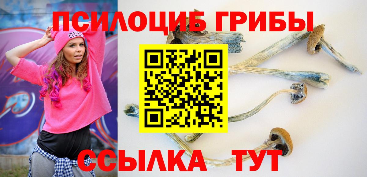 Псилоцибиновые грибы мухоморы  Псилоцибиновые грибы GOLDEN TEACHER  Мончегорск  купить  сайты  Вход с VPN 